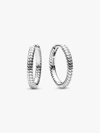 Pandora Moments Små Charm Creoler