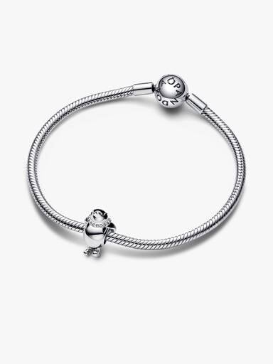 Skipingvin Charm
