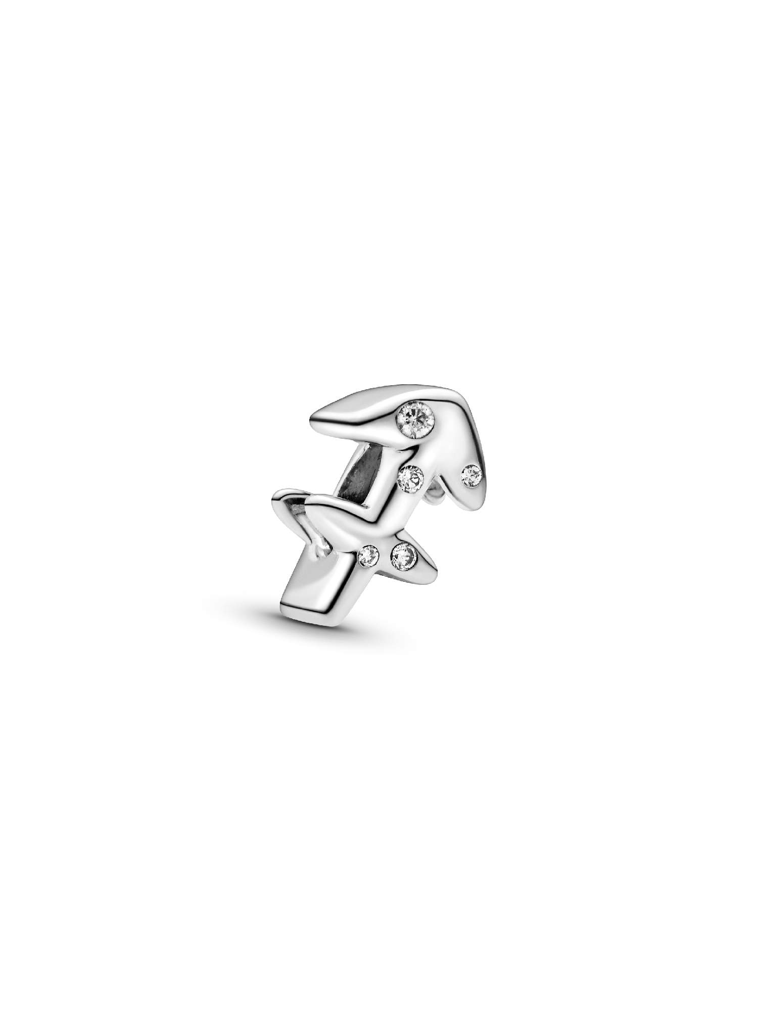 Skytten Stjernetegn Charm