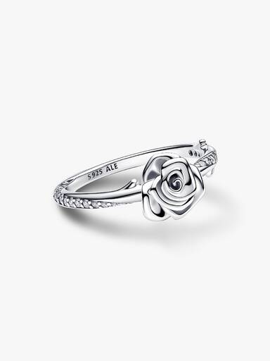 Rose-i-Blomstring