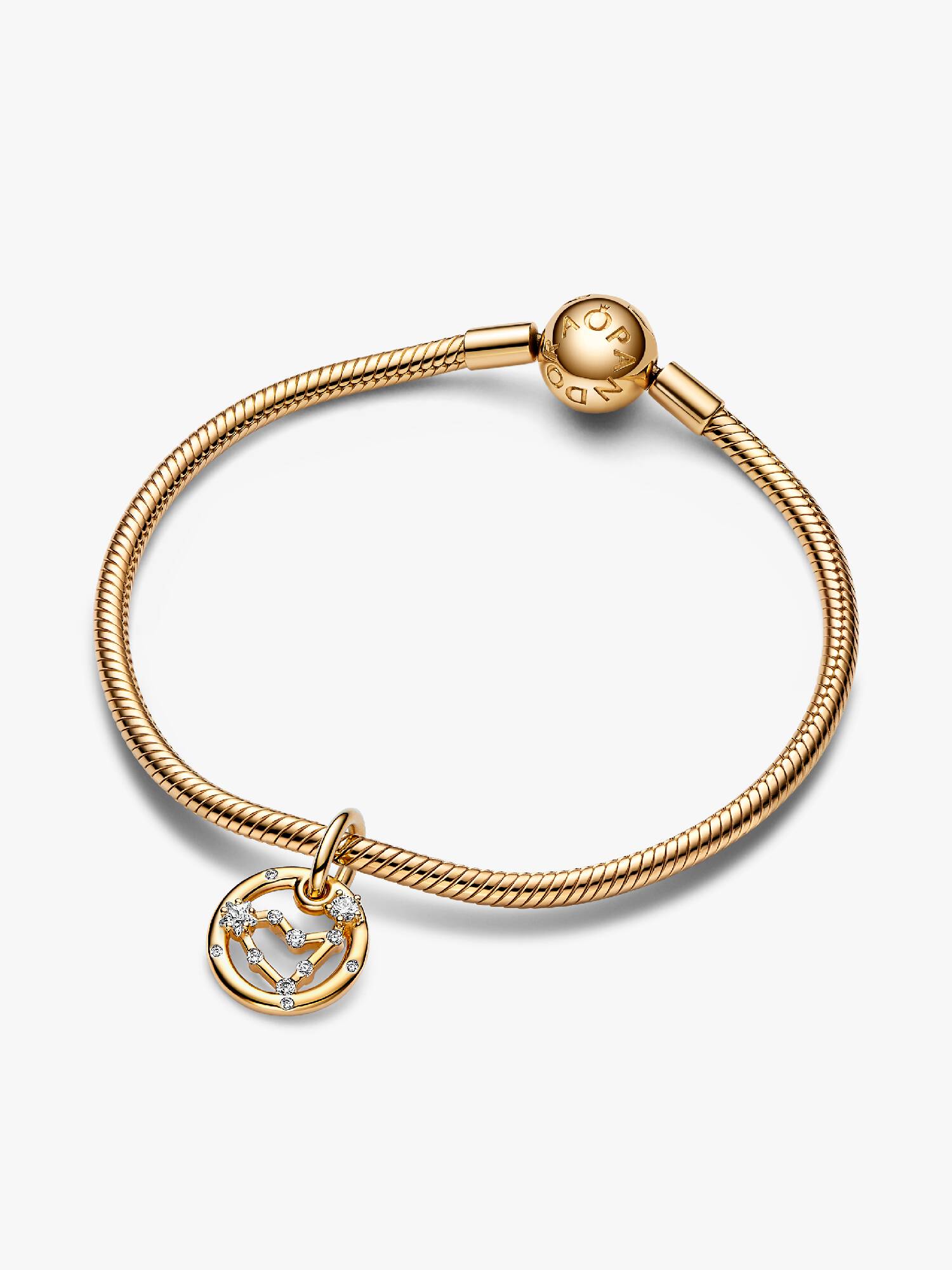 Stjernetegnet Stenbukken Armbånd Sæt