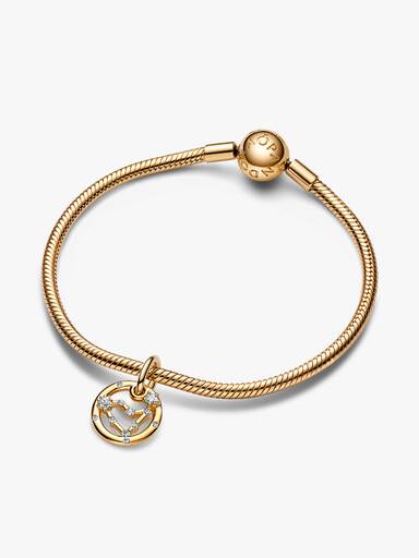 Stjernetegnet Stenbukken Armbånd Sæt