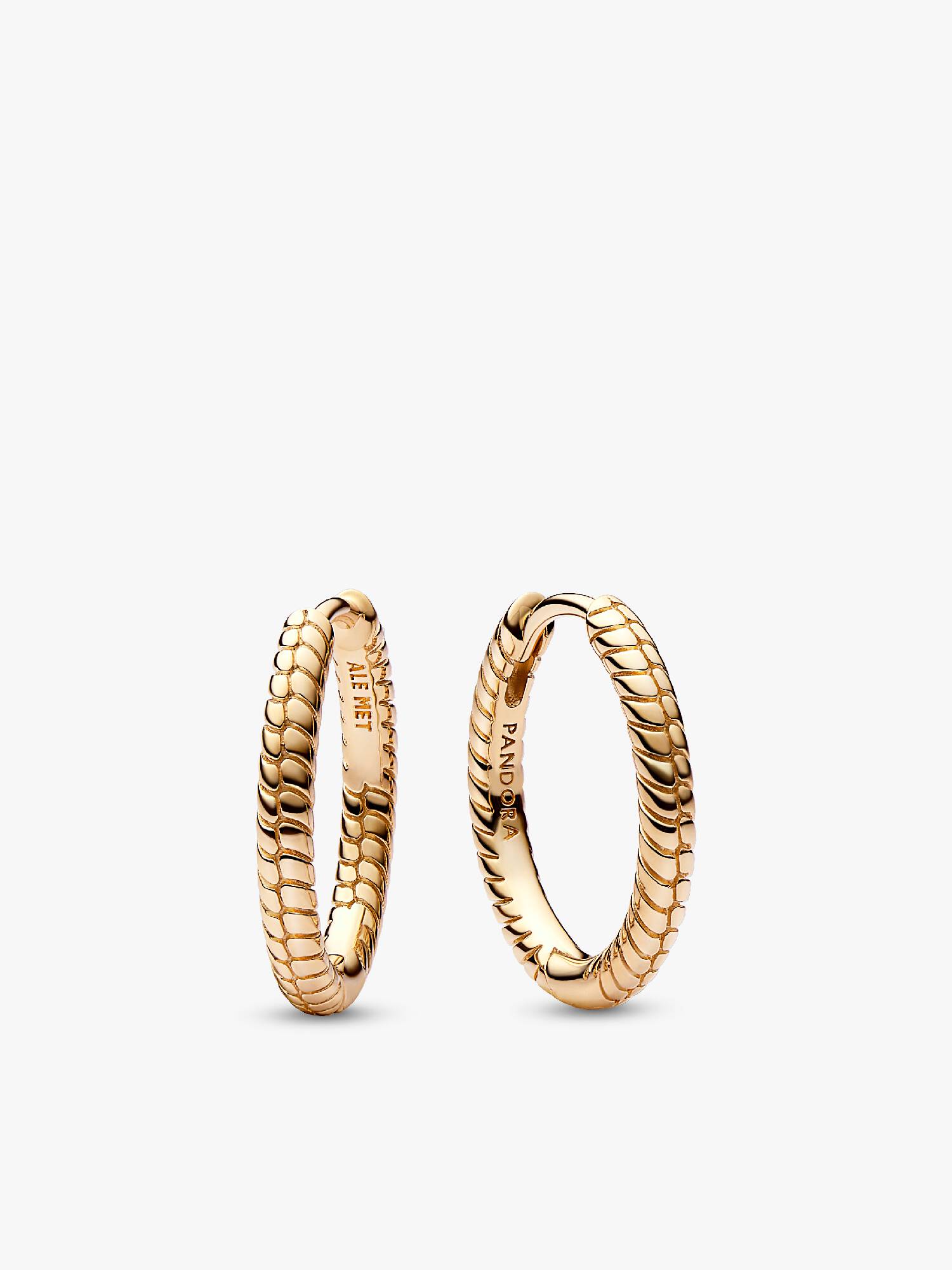 Pandora Moments Små Charm Creoler