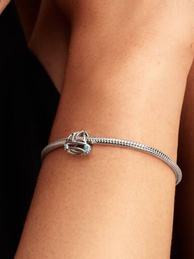 Sejlbåd Charm