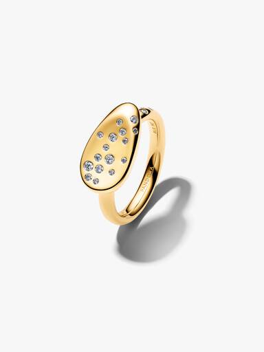 Medium Stenindfattet Oval Signet Ring