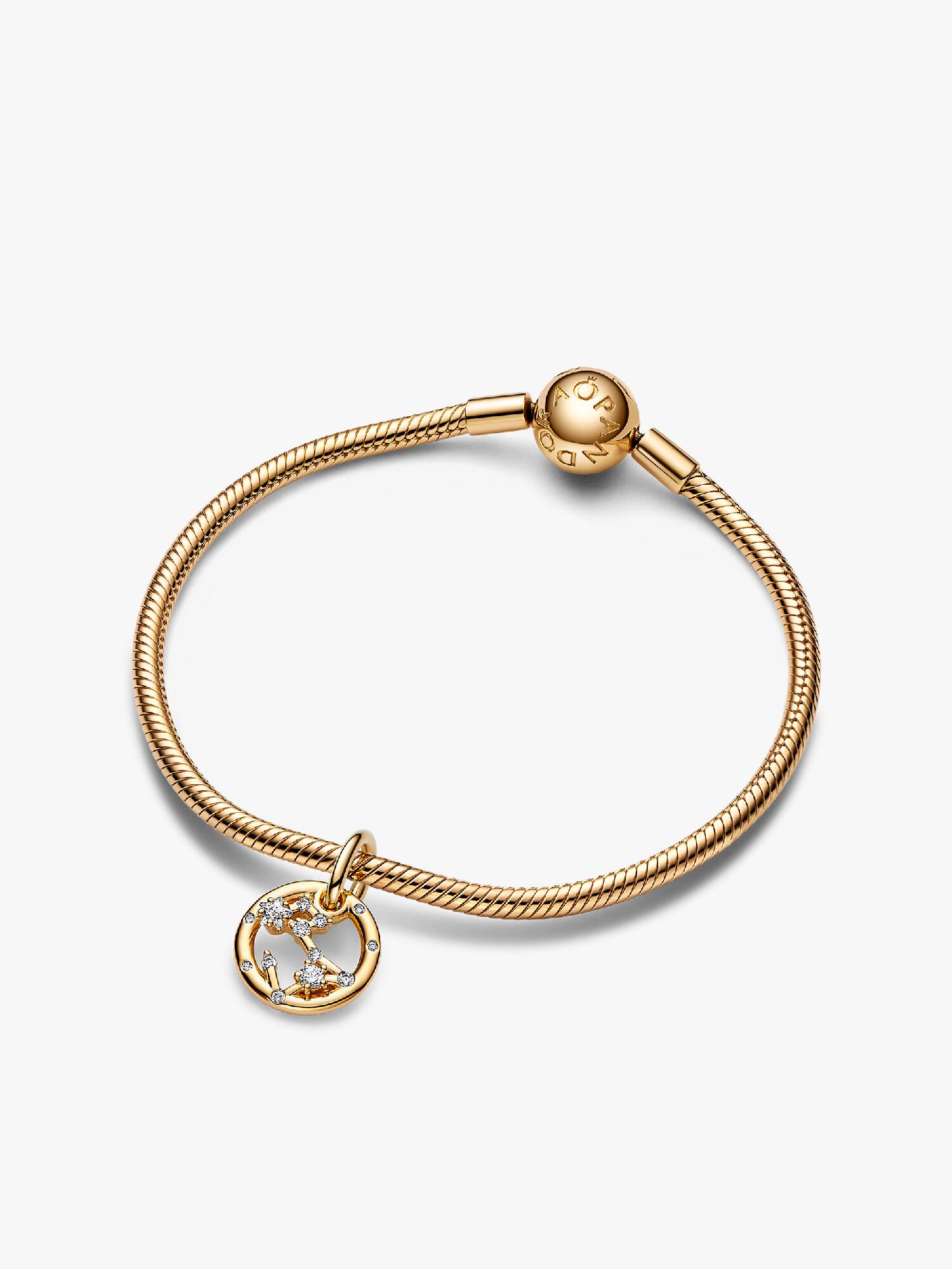 Stjernetegnet Fiskene Armbånd Sæt