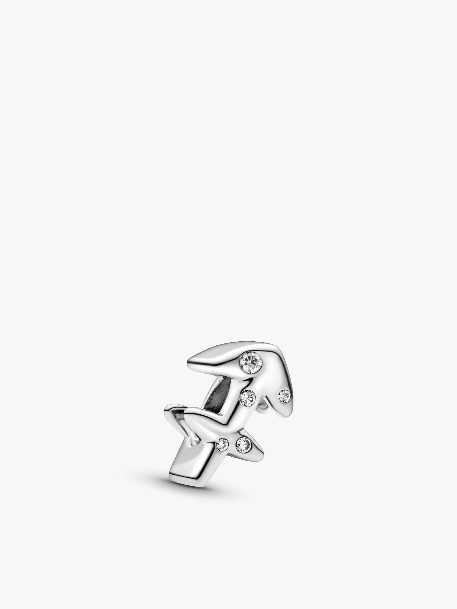 Skytten Stjernetegn Charm