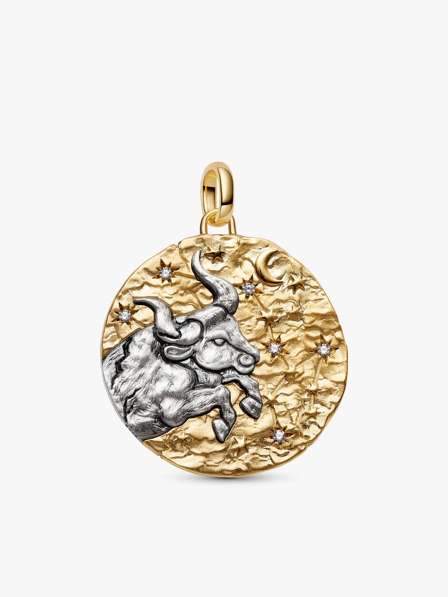 Tyren Stjernetegn Oversized Medaljon Charm