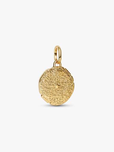 Løve Medaljoncharm