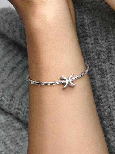 Fisken Stjernetegn Charm