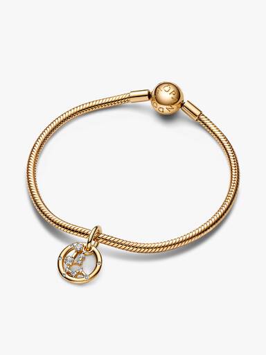 Stjernetegnet Vandmanden Armbånd Sæt