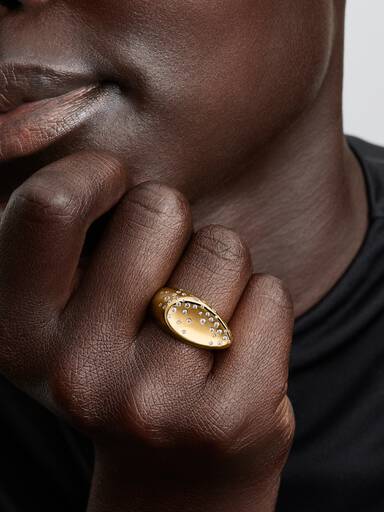 Stenindfattet Oval Hvælvet Signet Ring