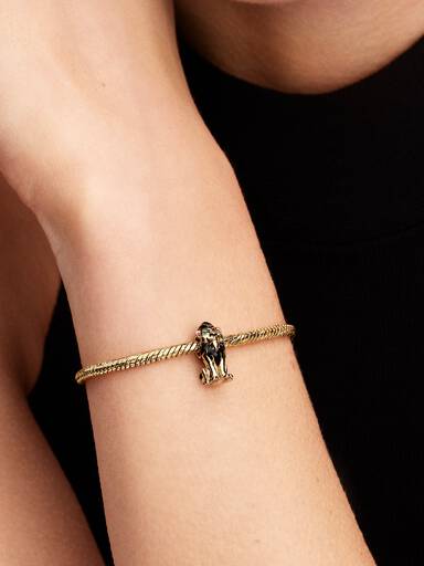 Disney Skurke Scar Charm