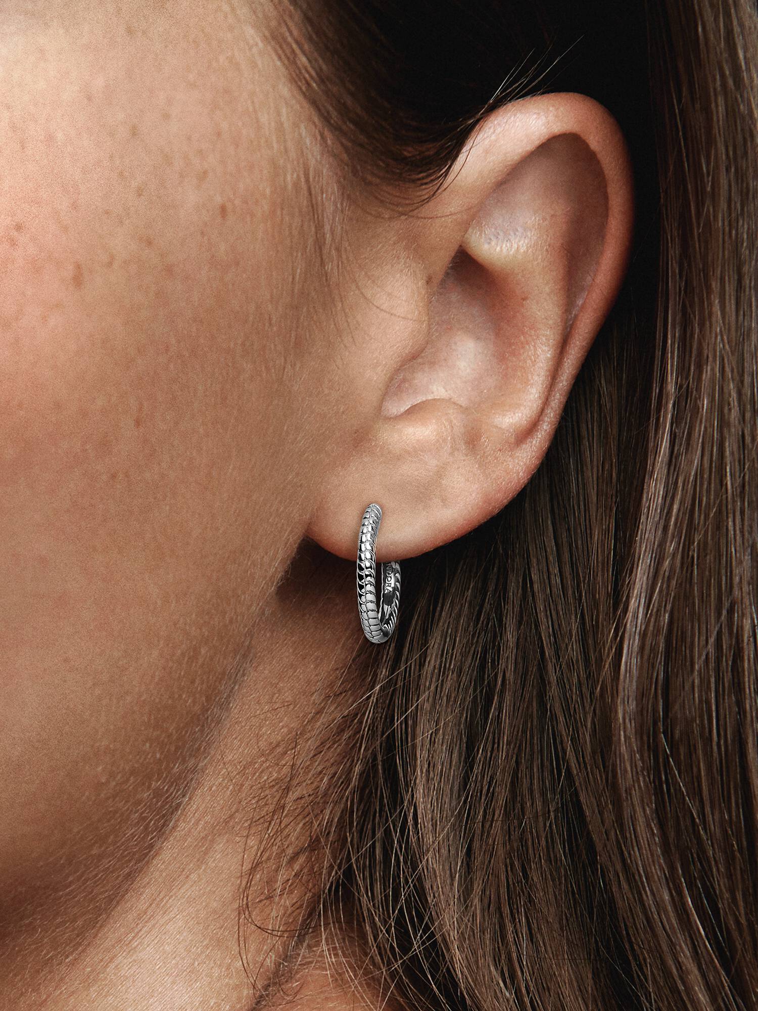 Pandora Moments Små Charm Creoler
