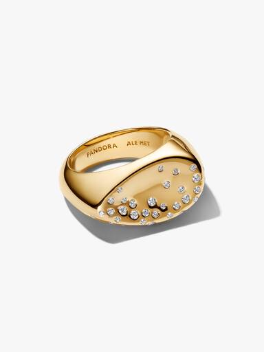 Stenindfattet Oval Hvælvet Signet Ring