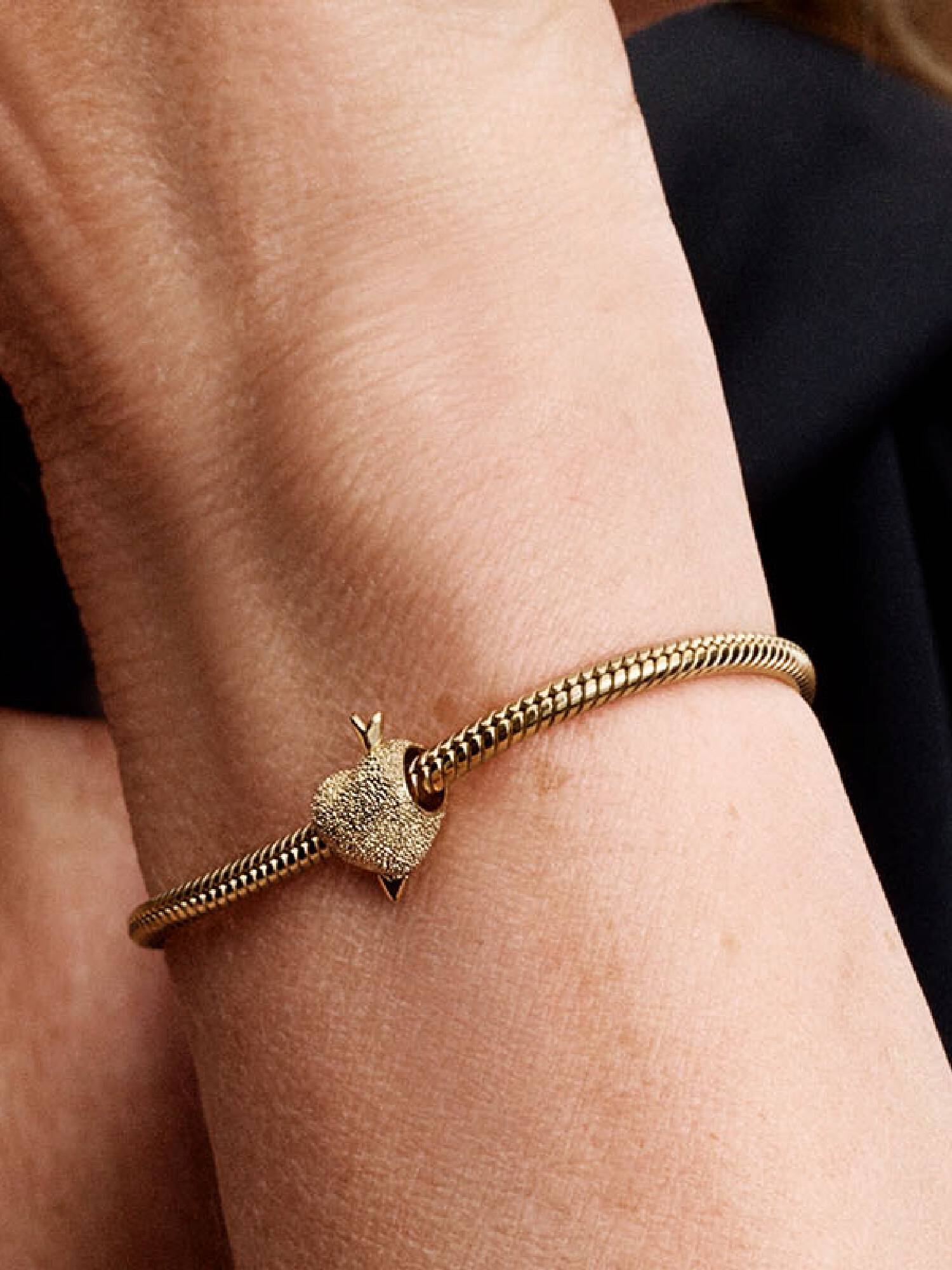 Amor Hjerte Charm