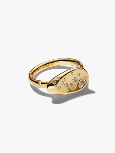 Medium Stenindfattet Oval Signet Ring