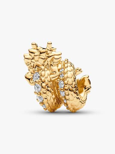 Dragecharm