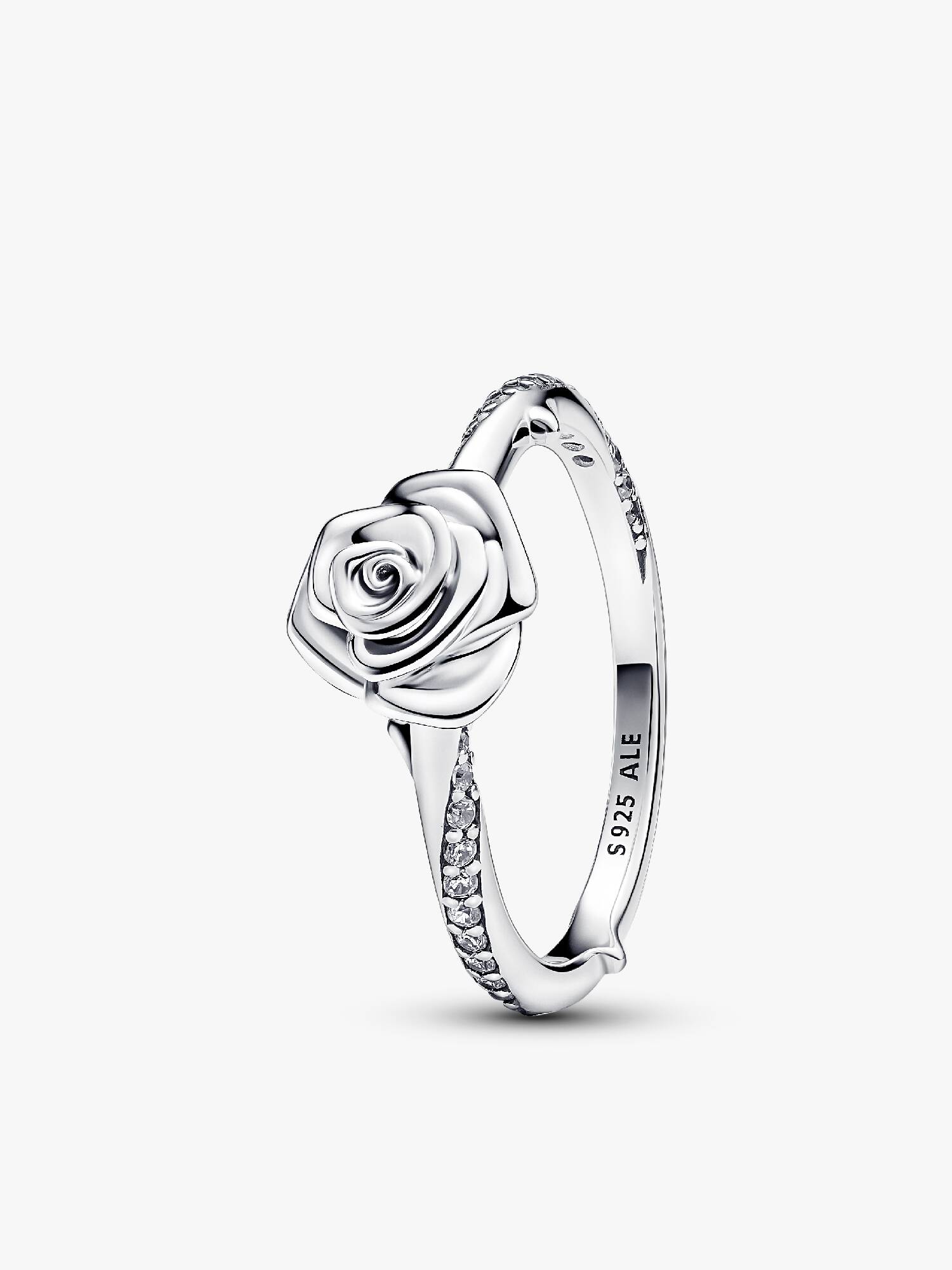 Rose-i-Blomstring